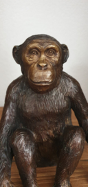 CHIMPANSEE