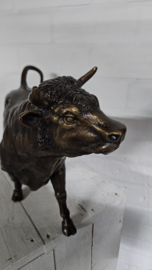 STIER