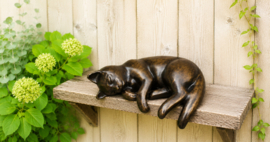 POES DIE SLAAPT