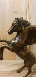 PEGASUS