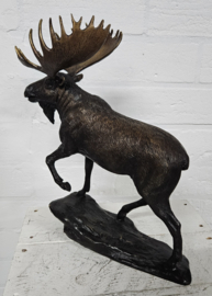 ELAND