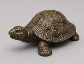 SCHILDPAD