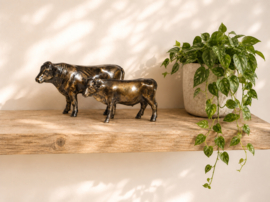 KOE EN STIER