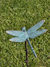 BRONZEN LIBELLE