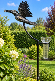 IJSVOGEL RVS