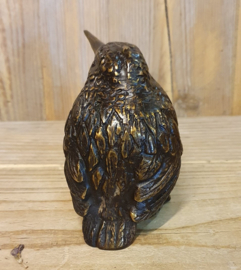 IJSVOGEL