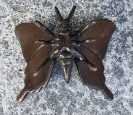 VLINDER / 5 CM BREED