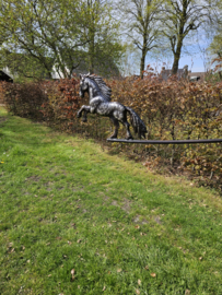 BALANSPRIKKER  / FRIES PAARD