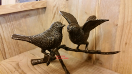 2 VOGELS OP TAK / VLEUGELS WIJD
