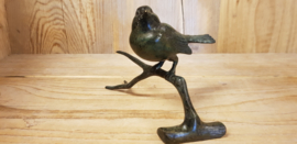 MUS OP TAK / GROEN