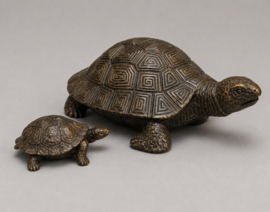 SCHILDPAD