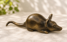 MUIS