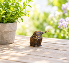 MINI IJSVOGEL