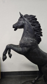 STEIGEREND PAARD