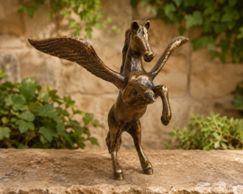PEGASUS