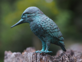 IJSVOGEL