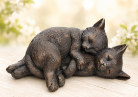 2 SLAPENDE POEZEN / KITTENS