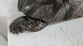 SCHILDPAD / FONTEIN