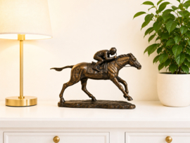 JOCKEY MET PAARD