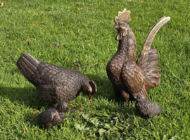 HAAN EN HEN MET 2 KUIKENS