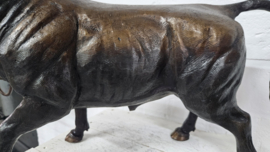 STIER