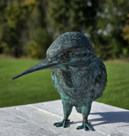IJSVOGEL