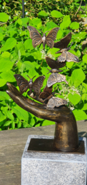 HAND MET  5 VLINDERS / RECHTERHAND