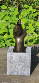 HAND MET  5 VLINDERS / RECHTERHAND