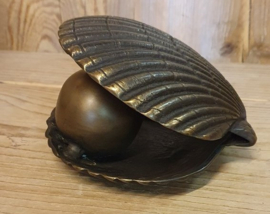 MINI URN SCHELP MET PAREL