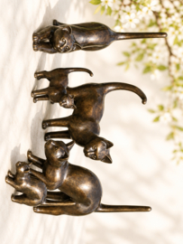 GROTE POES DIE SCHRIKT