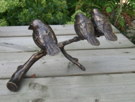 3 VOGELS OP TAK