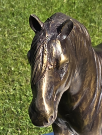 FRIES PAARD