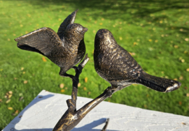 2 VOGELS OP TAK / VLEUGELS WIJD
