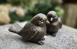 SET VOGELS
