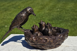 VOGELNEST