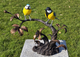 TAK MET PIMPELMEES EN KOOLMEES