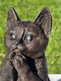 POES / KAT / KITTEN
