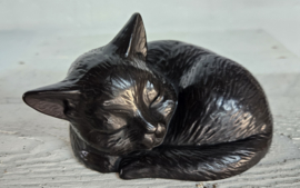 URN / SLAPENDE KAT