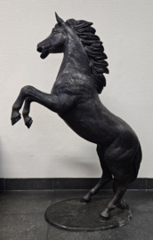 STEIGEREND PAARD