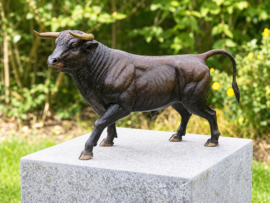 STIER