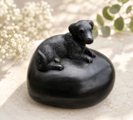 URN / HART MET HOND