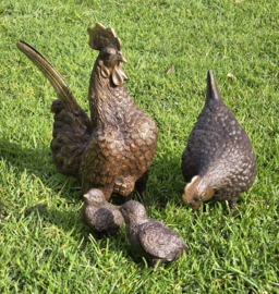 HAAN EN HEN MET 2 KUIKENS