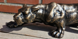 PANTER
