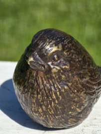 VOGEL