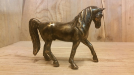 PAARD