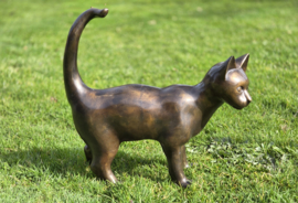 GROTE STAANDE KAT /POES