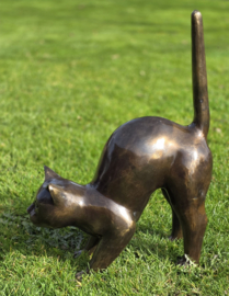 GROTE POES DIE SCHRIKT