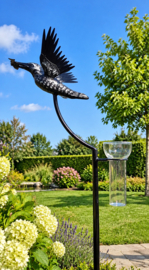 IJSVOGEL RVS