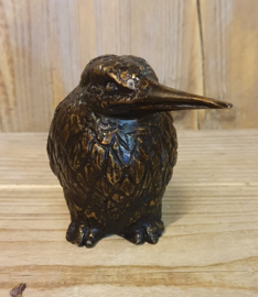 IJSVOGEL