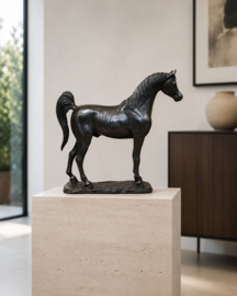 ARABISCH PAARD / ARABIER